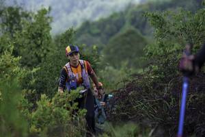 BIB: 
                            <button type="button" onclick="openModal(24763326)" class="btn btn-primary btn-sm float-right btn-popup" data-toggle="modal" data-target=".modal-high-quality">
                        <i class="fas fa-shopping-cart"></i> Add to Cart
                    </button>
                                            <button type="button" onclick="isThisMe(24763326, true)" class="btn btn-success btn-sm float-right btn-popup btn-isme hidden" data-toggle="tooltip" data-placement="bottom" title="นี่คือรูปของคุณใช่ไหม คลิกที่นี่เพื่อเอาเข้าอัลบั้ม">
                        <i class="fas fa-plus"></i> Add to album
                    </button>
                    <button type="button" onclick="isThisMe(24763326, false)" class="btn btn-warning btn-sm float-right btn-popup btn-isnotme hidden">
                        <i class="fas fa-ban"></i> Remove from album
                    </button>